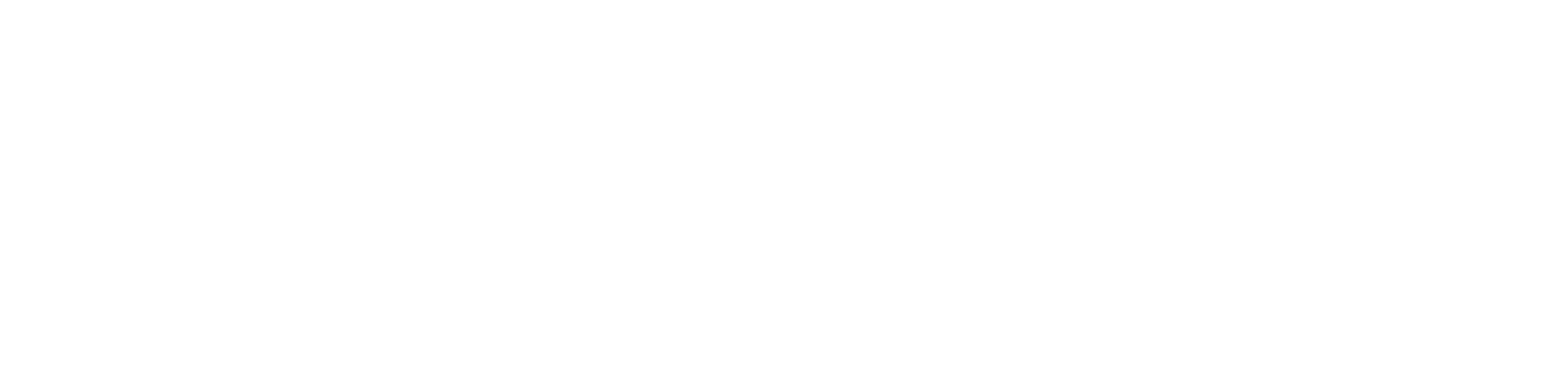 PROTON 4K